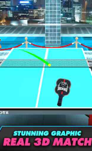 Real Table Tennis 2