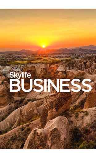 Skylife Business 1