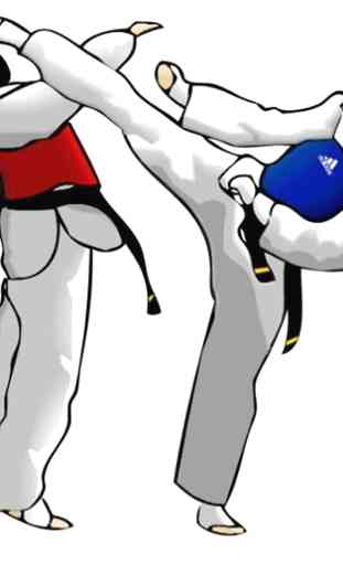 técnica de taekwondo 3