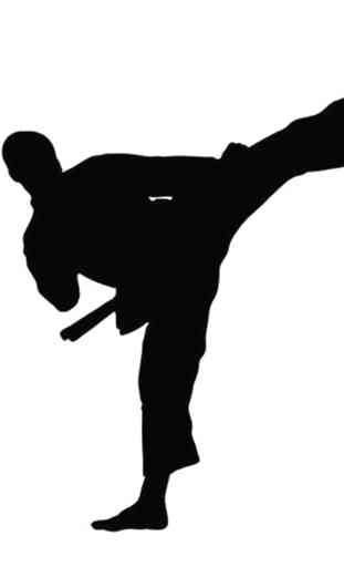 técnica de taekwondo 4