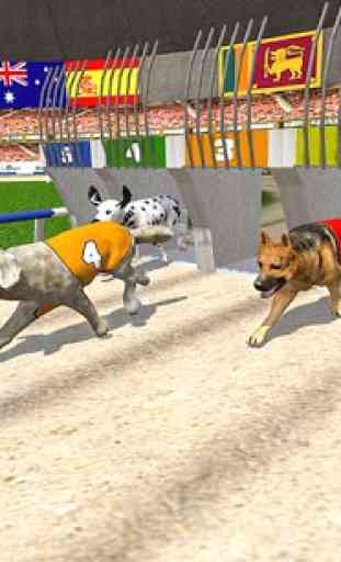 Torneo Real de Carreras de perros 1