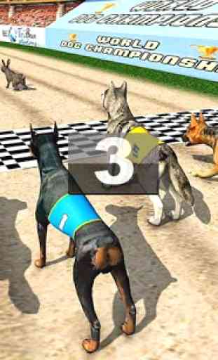 Torneo Real de Carreras de perros 3