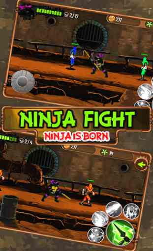 Tortuga lucha - Ninja es Born 2