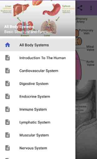 All Body Systems 1