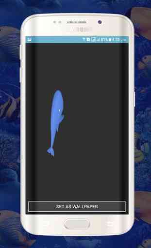 Azul ballena Live Wallpapers-animaciones de ballen 3