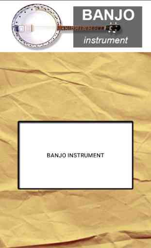 Banjo instrument 2