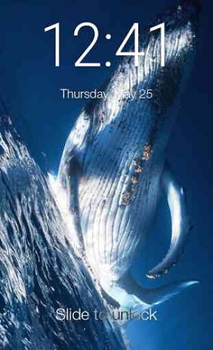 Blue Whale Lock Screen 1