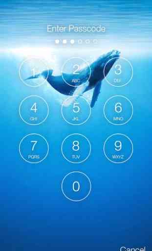 Blue Whale Lock Screen 2