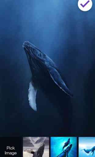 Blue Whale Lock Screen 3