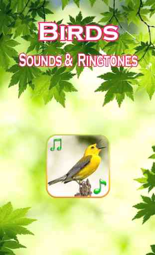 Pájaros Sonidos Ringtones 1