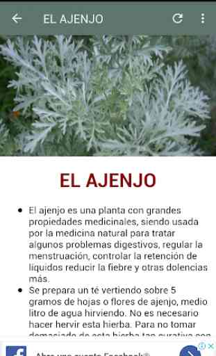 Plantas y Hierbas medicinales 4