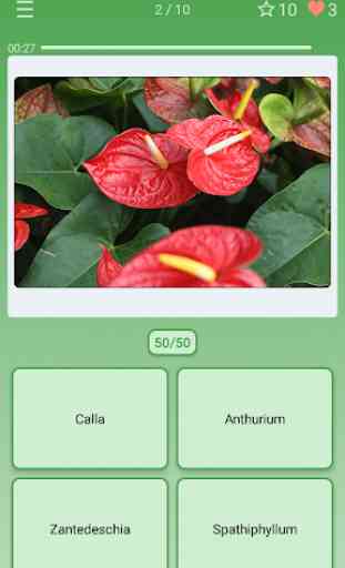Quiz: Flores, Plantas 1