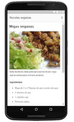 Recetas Veganas en Español Gratis de Comida Vegana 4