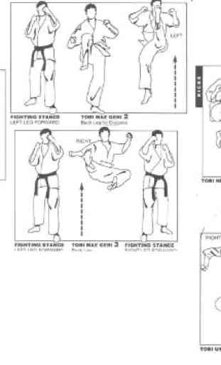 Aprende Karate Para Principiantes 2