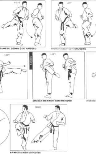 Aprende Karate Para Principiantes 4