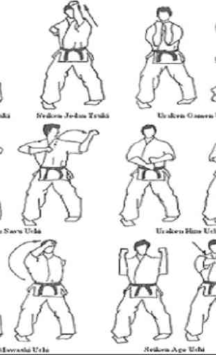 aprender karate 3