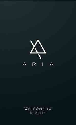 Aria The AR Platform 1