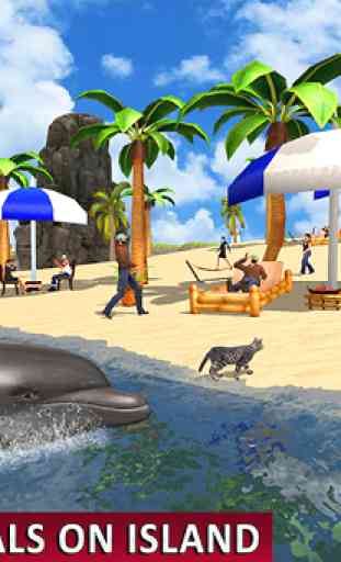Dolphin Passenger Beach Taxi 4