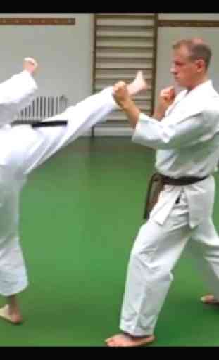 Entrenamiento Karate 2