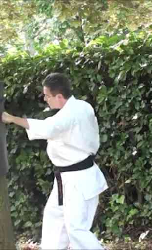 Entrenamiento Karate 3