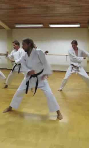 Entrenamiento Karate 4