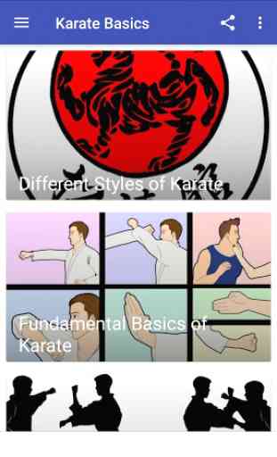 Karate Basics 3