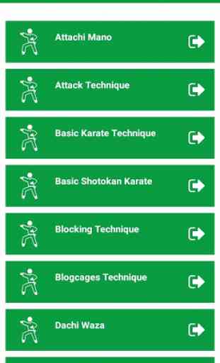 Learn Karate Techniques 1