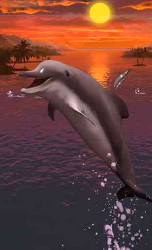 Los delfines fondo de pantalla 1