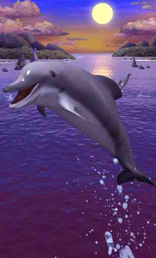 Los delfines fondo de pantalla 2