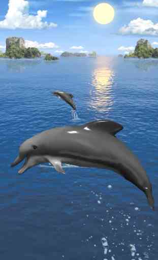 Los delfines fondo de pantalla 3