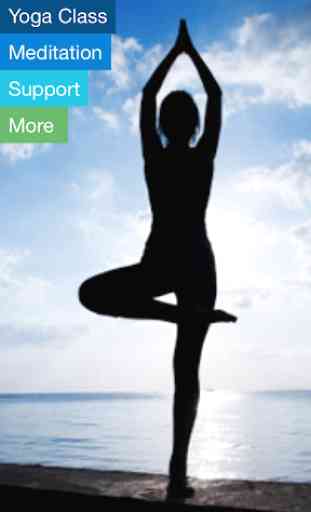 Restorative Yoga Therapy 1