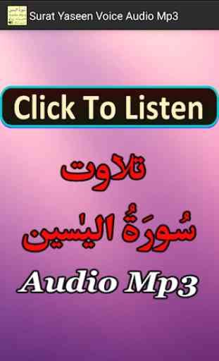 Surat Yaseen Voice Audio Mp3 1