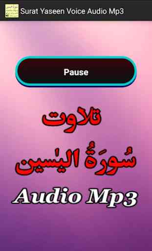 Surat Yaseen Voice Audio Mp3 3