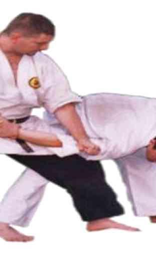 Técnica básica de Karate 1
