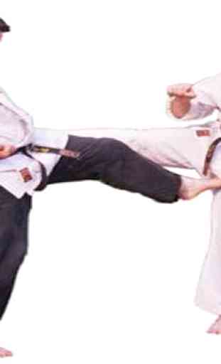 Técnica básica de Karate 4