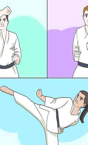 técnica de karate 2