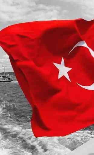 Bandera turca Fondos 3