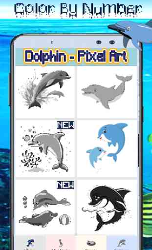 Dolphin Coloring: Color By Number-Pixel Art 1