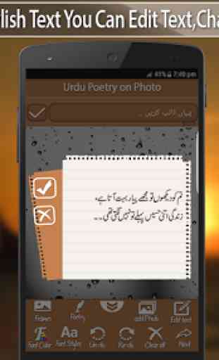 Poesía urdú en foto 2