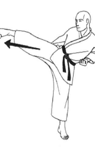 Aprender Kung Fu 3