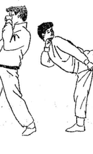 Aprender Kung Fu 4