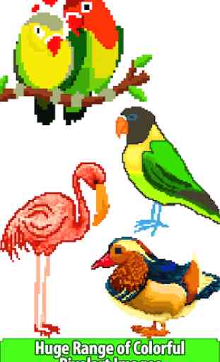 Birds Color by Number: Pixel Art, Sandbox Coloring 2