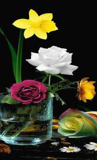 hermosas flores y rosas gif 2