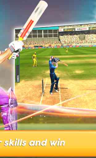 Indian Cricket Game: T20 Premier League 2019 3