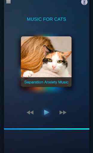 Música relajante para gatos 3