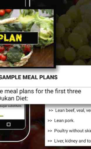 Dukan Diet Plan 2