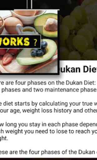 Dukan Diet Plan 4