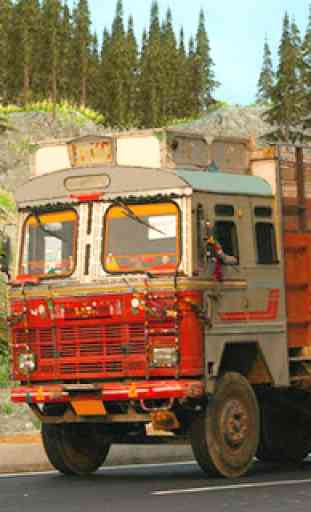 indio camión conductor cargamento ciudad 2018 4