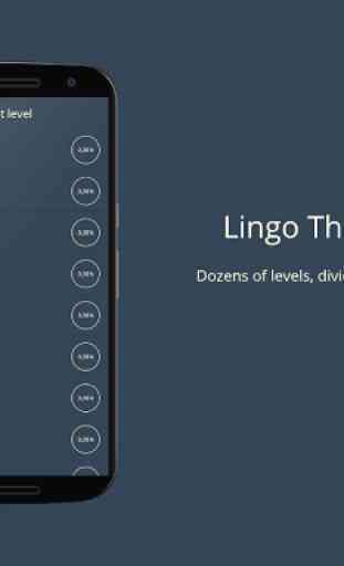 Lingo! Themes - Word game 2