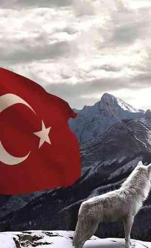 Papel pintado de la bandera turca 4